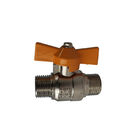 Double Outer DN10 Hose Thread Ball Valve Anticorrosive for Gas Pipes