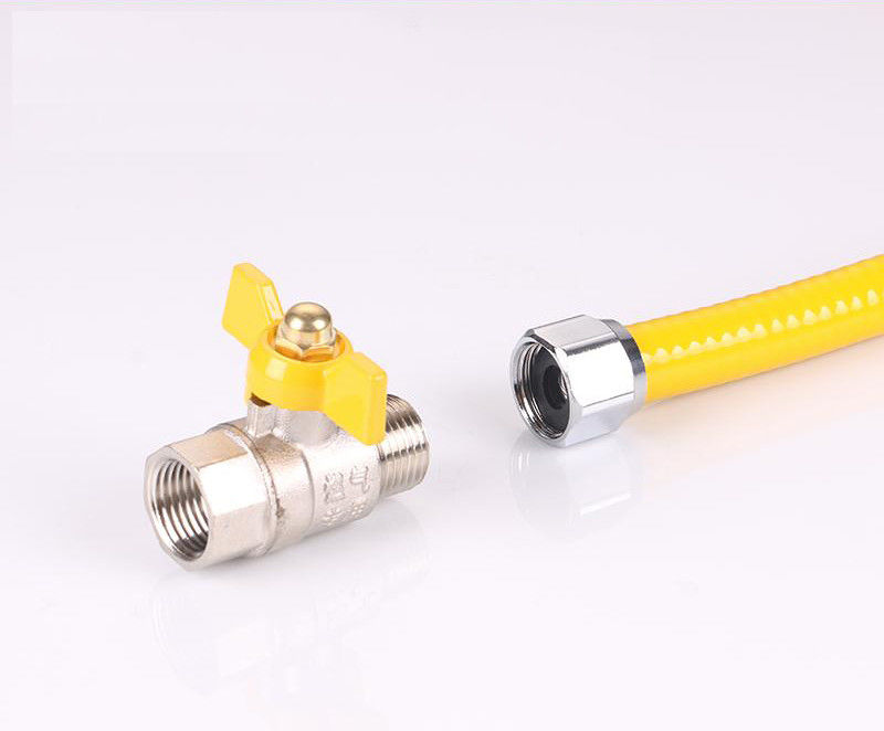 Fire Pit Water Heater Gas Hose DN15 0.2MPa for connecting gas stove